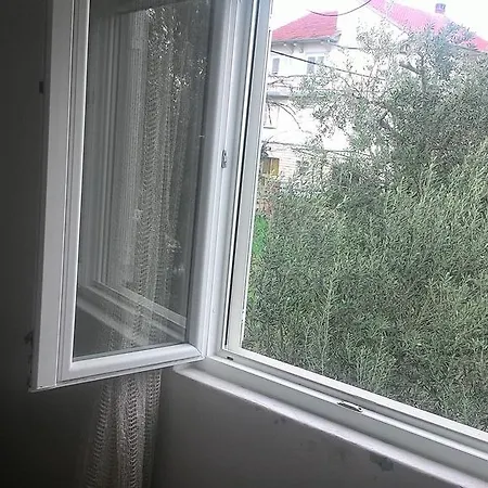 Viktor House *